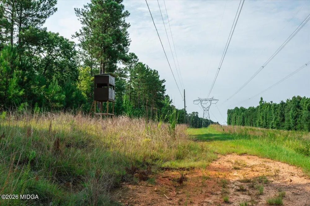 252 Rum Creek Pass Juliette, GA 31046