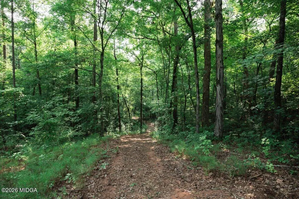 252 Rum Creek Pass Juliette, GA 31046