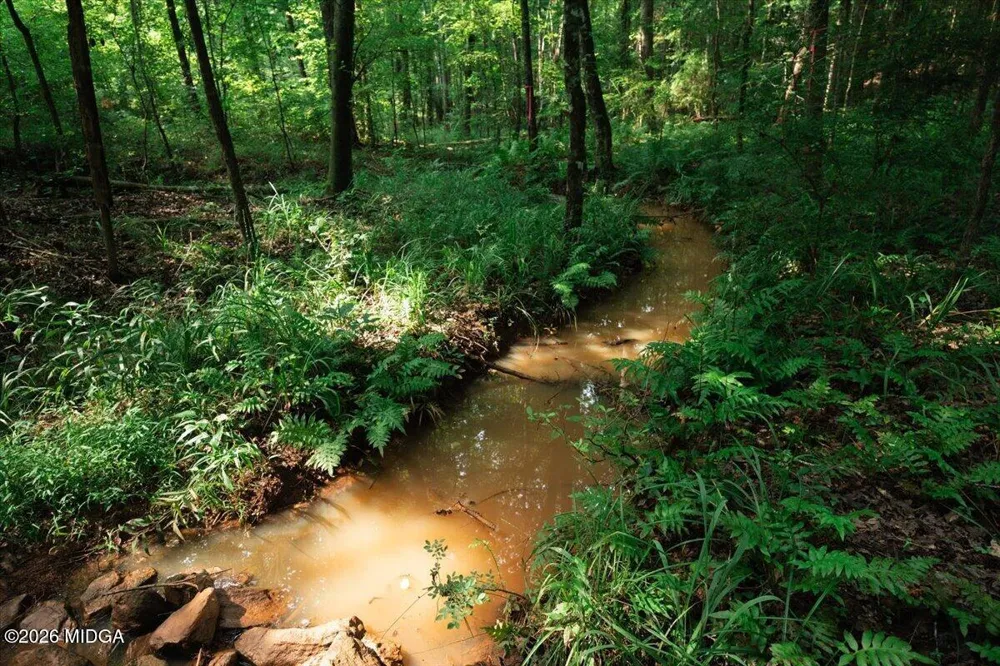 252 Rum Creek Pass Juliette, GA 31046