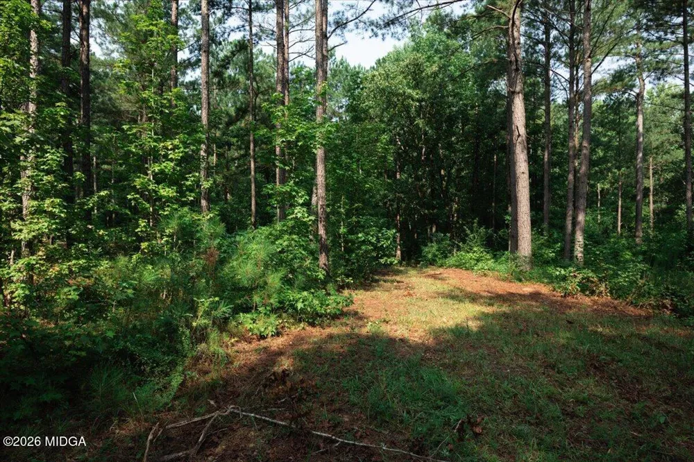 252 Rum Creek Pass Juliette, GA 31046