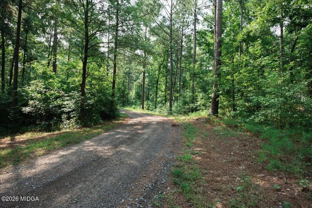 252 Rum Creek Pass Juliette, GA 31046