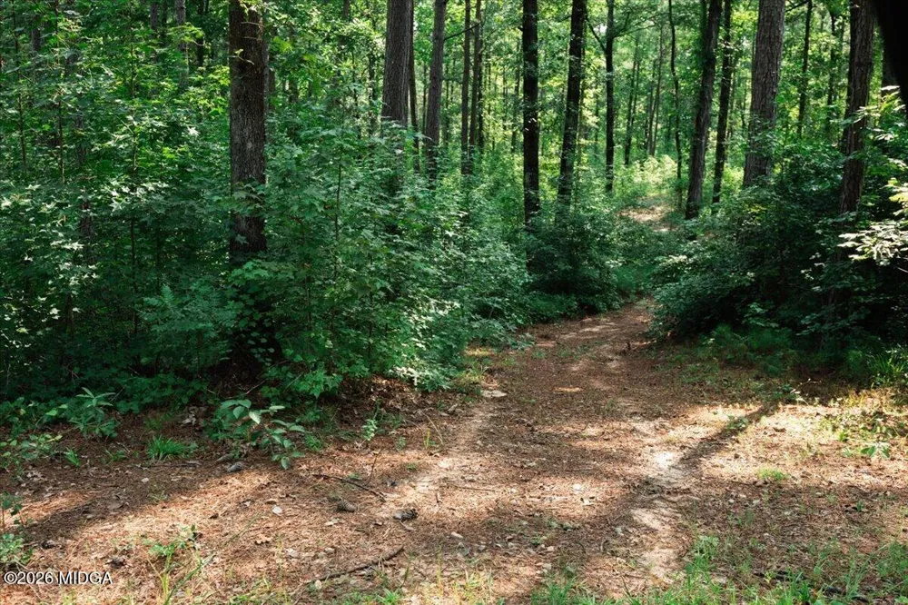 252 Rum Creek Pass Juliette, GA 31046