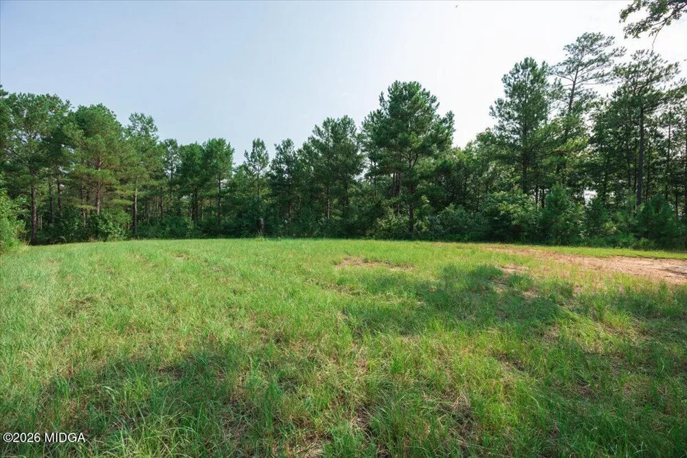 252 Rum Creek Pass Juliette, GA 31046
