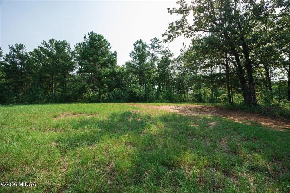 252 Rum Creek Pass Juliette, GA 31046