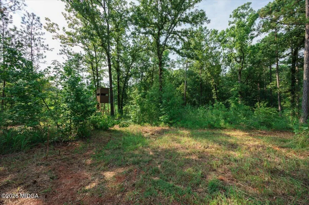 252 Rum Creek Pass Juliette, GA 31046