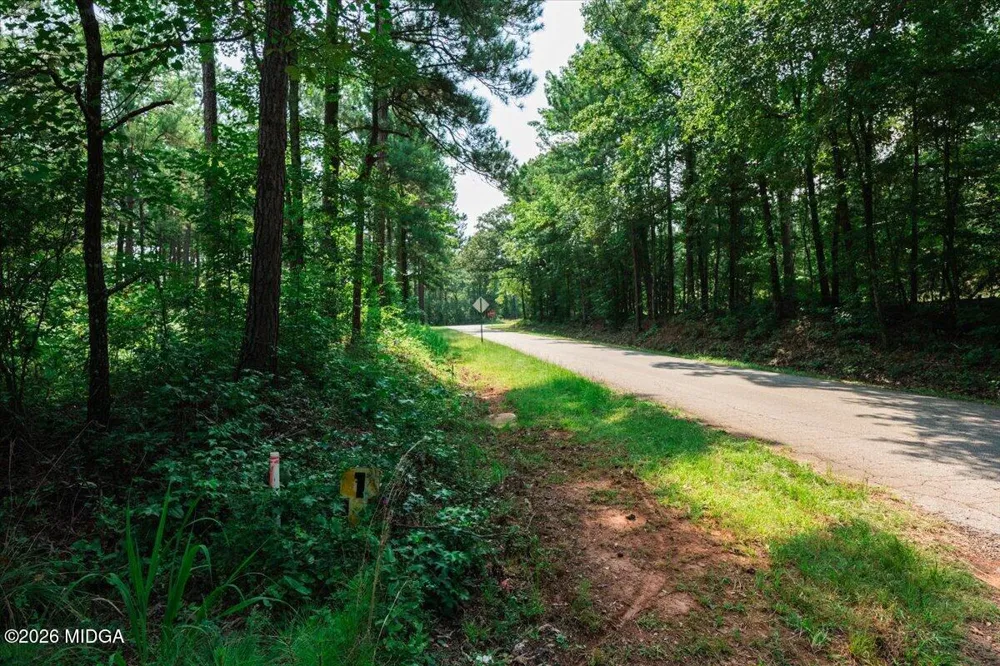 252 Rum Creek Pass Juliette, GA 31046