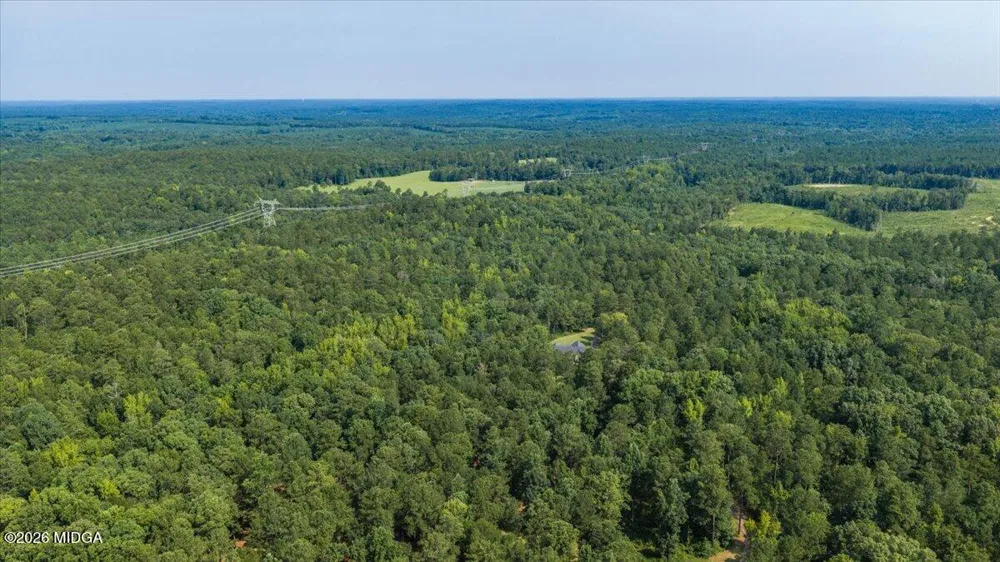252 Rum Creek Pass Juliette, GA 31046