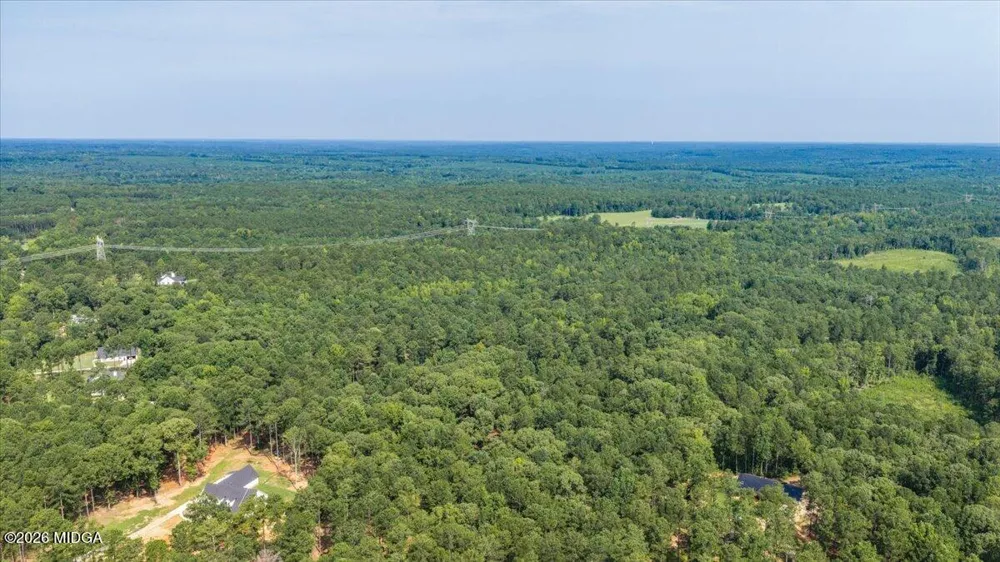 252 Rum Creek Pass Juliette, GA 31046