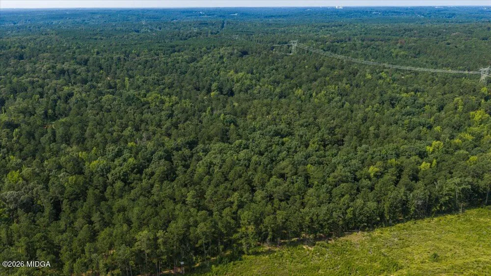 252 Rum Creek Pass Juliette, GA 31046