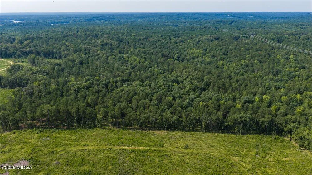252 Rum Creek Pass Juliette, GA 31046