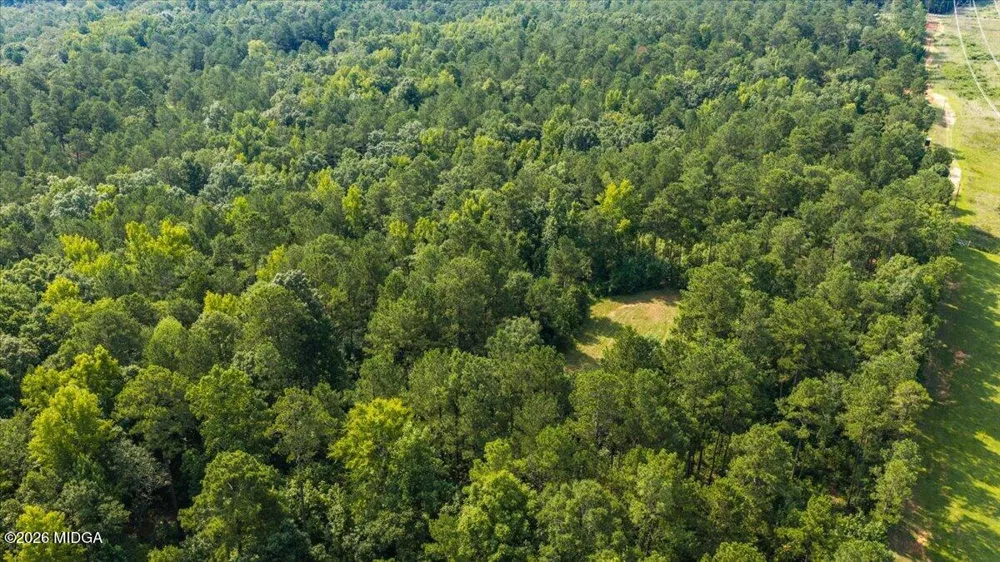 252 Rum Creek Pass Juliette, GA 31046