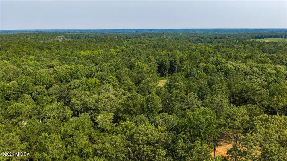 252 Rum Creek Pass Juliette, GA 31046