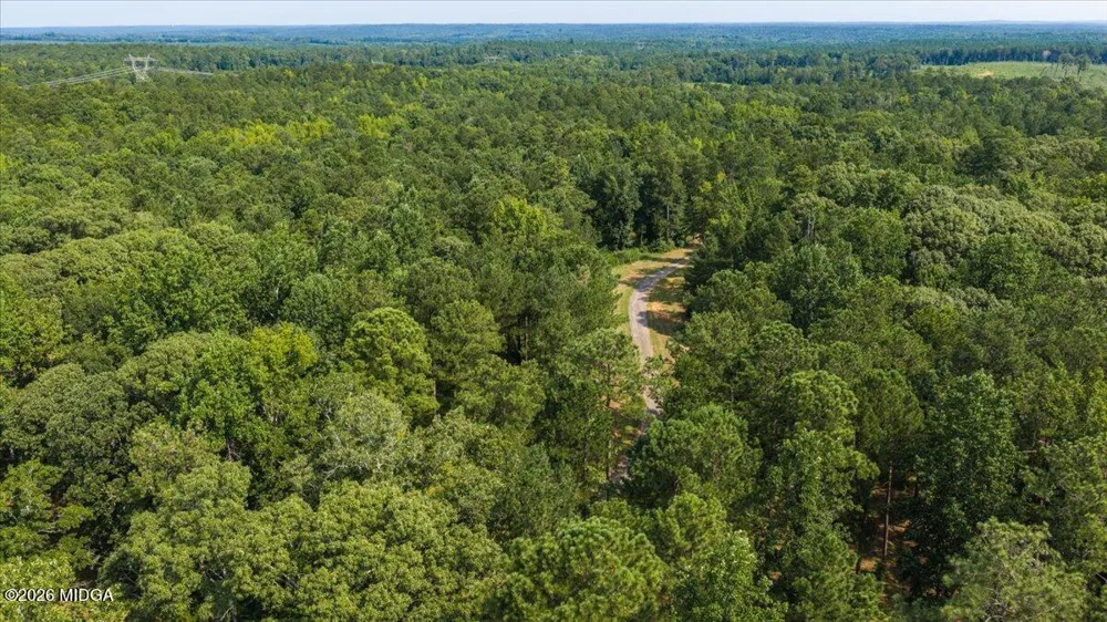 252 Rum Creek Pass Juliette, GA 31046