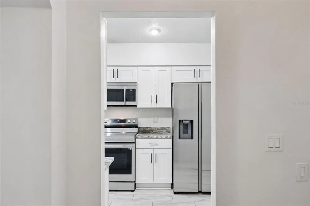 3022 NEW HAVEN PLACE Mount Dora, FL 32757