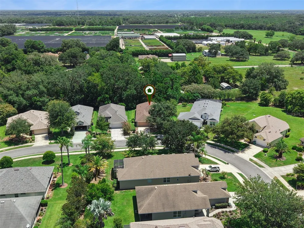3022 NEW HAVEN PLACE Mount Dora, FL 32757