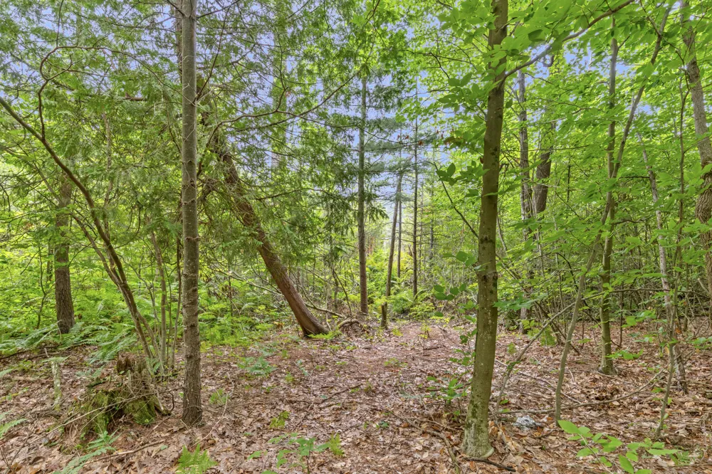 W Stanton Stanton, MI 48888