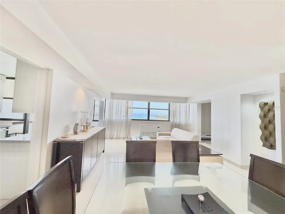 801 C. WASHINGTON #1203 San Juan, PR 00907