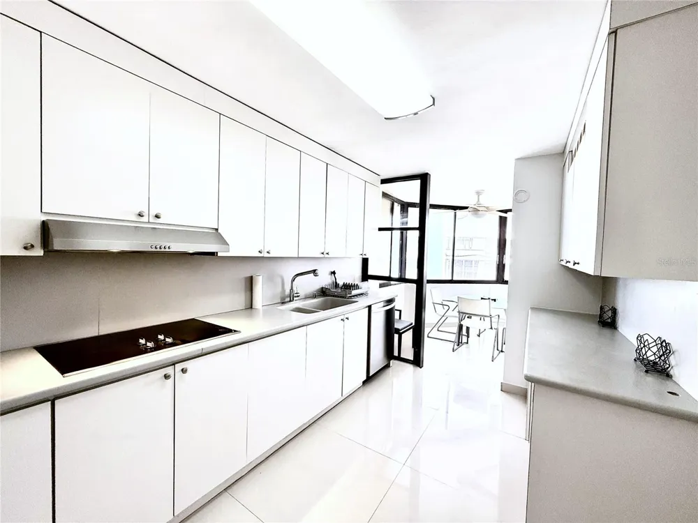 801 C. WASHINGTON #1203 San Juan, PR 00907