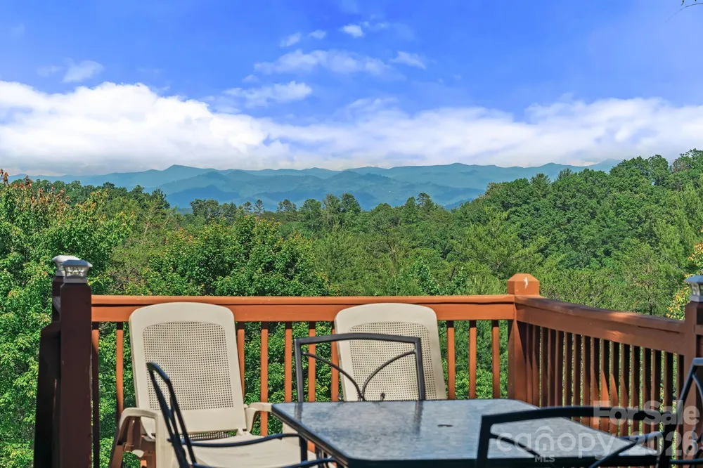 56 Gudger Road Leicester, NC 28748