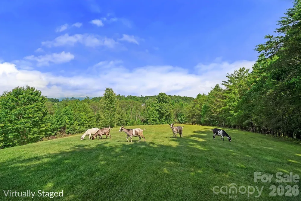 56 Gudger Road Leicester, NC 28748