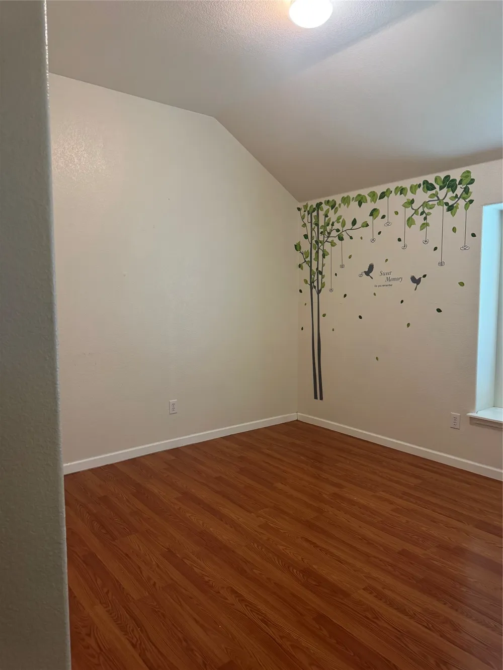 6711 Kinross Drive Arlington, TX 76002