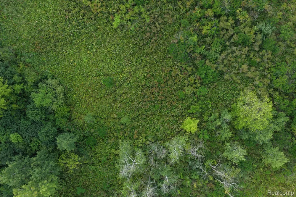 Harr Road Waterloo Township, MI 48118