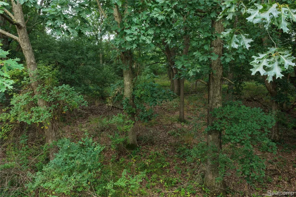 Harr Road Waterloo Township, MI 48118