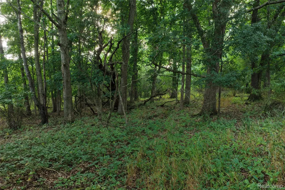 Harr Road Waterloo Township, MI 48118