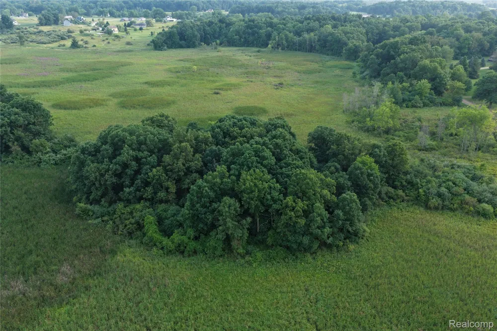 Harr Road Waterloo Township, MI 48118