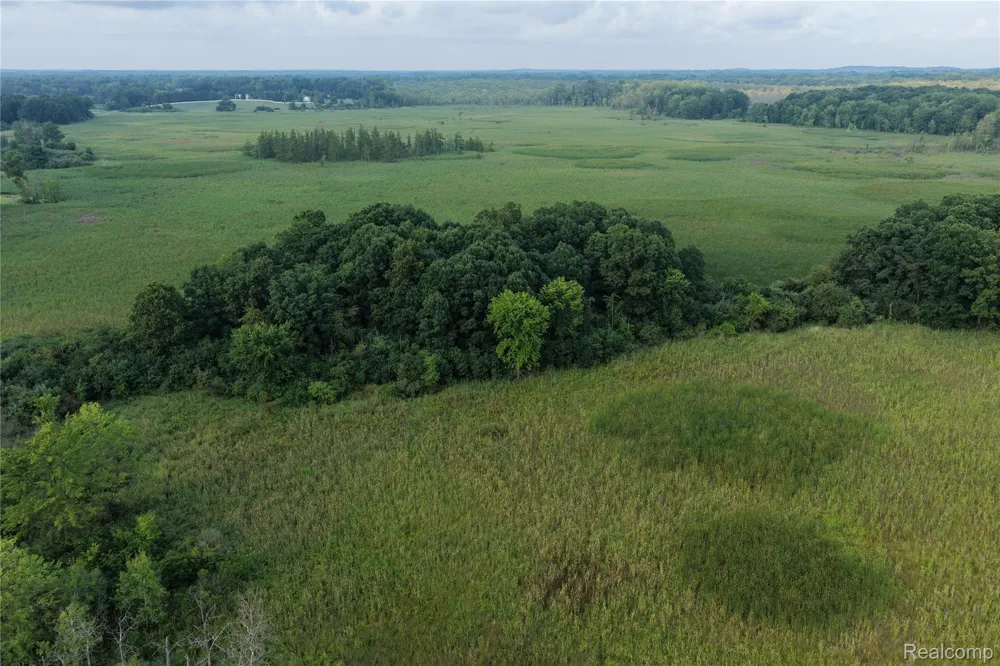 Harr Road Waterloo Township, MI 48118