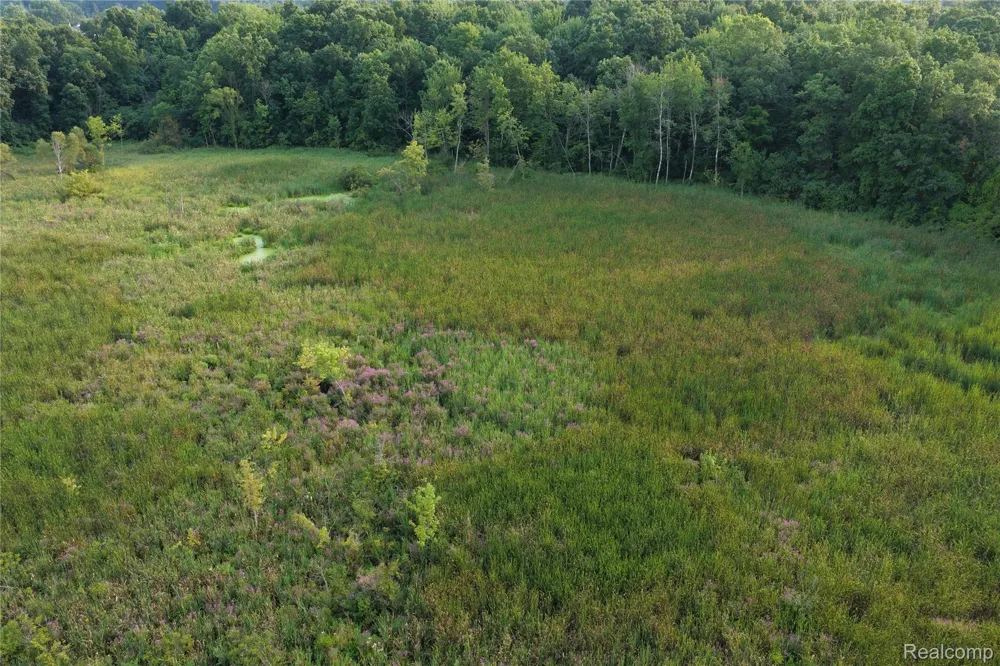 Harr Road Waterloo Township, MI 48118