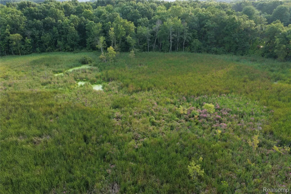 Harr Road Waterloo Township, MI 48118