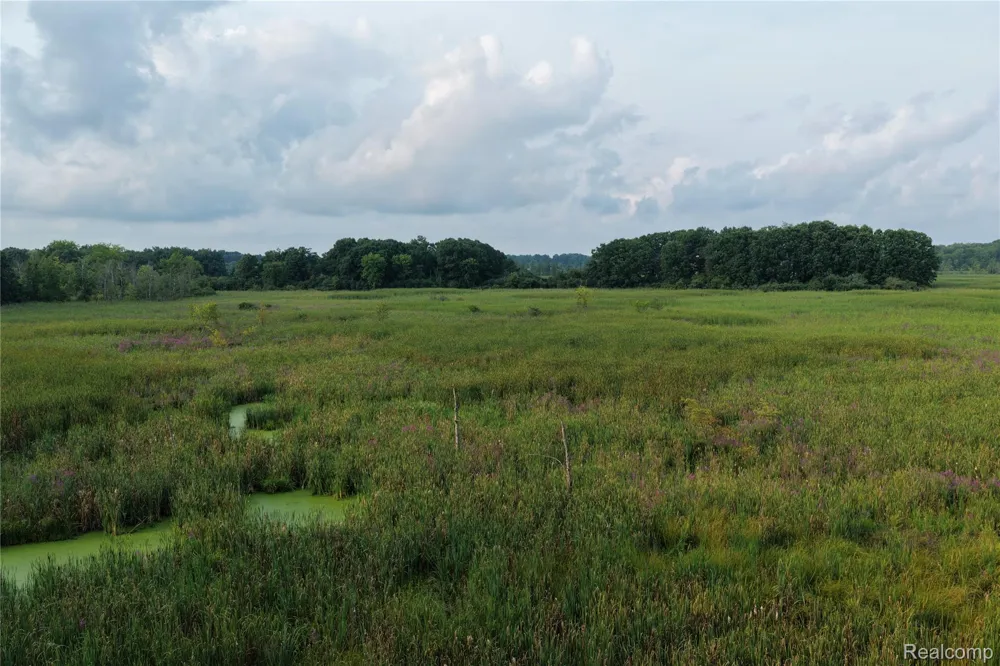 Harr Road Waterloo Township, MI 48118
