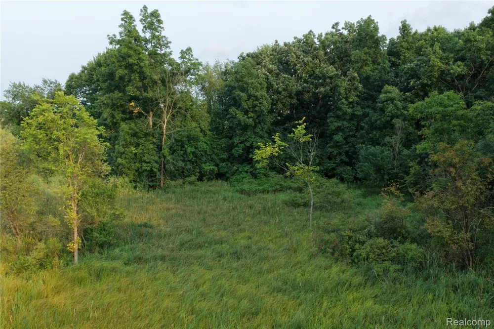 Harr Road Waterloo Township, MI 48118