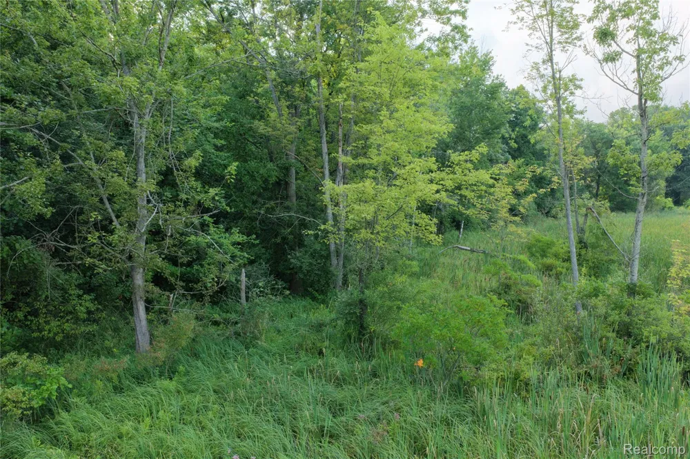 Harr Road Waterloo Township, MI 48118