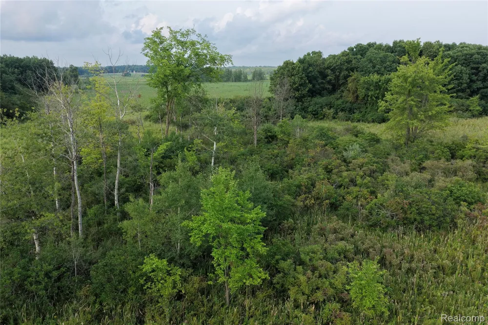 Harr Road Waterloo Township, MI 48118
