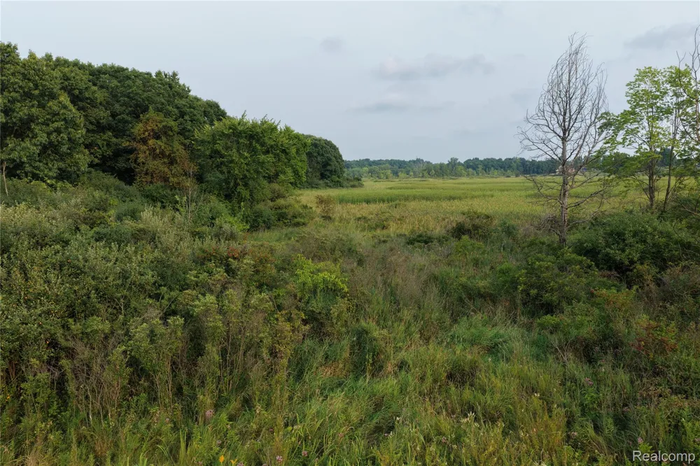 Harr Road Waterloo Township, MI 48118