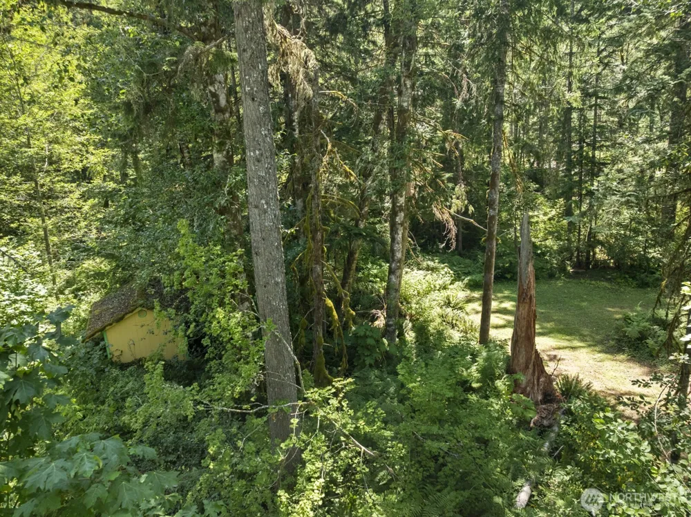 320 Skate Creek Road Eatonville, WA 98304