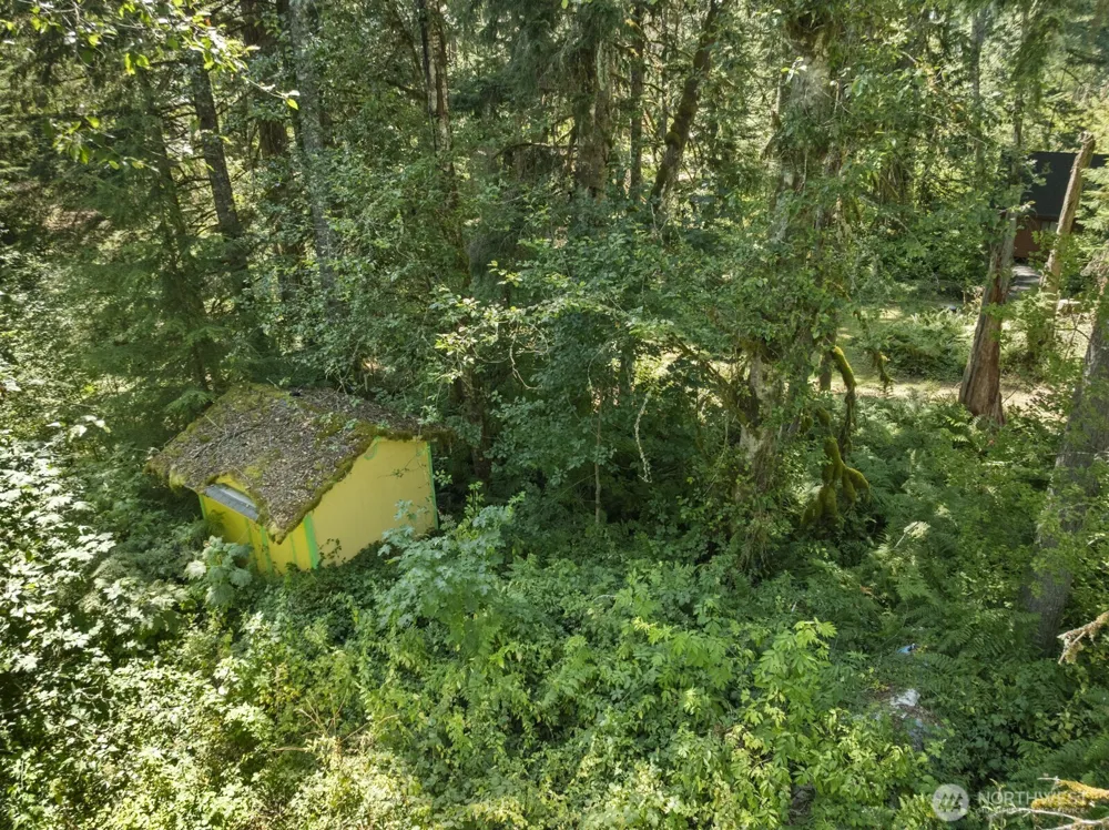 320 Skate Creek Road Eatonville, WA 98304