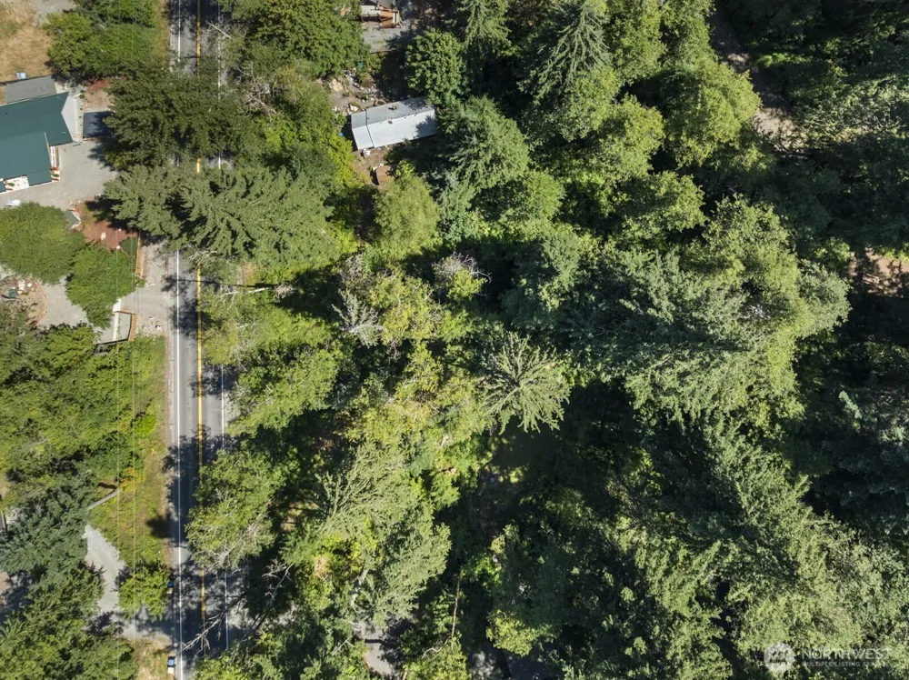320 Skate Creek Road Eatonville, WA 98304