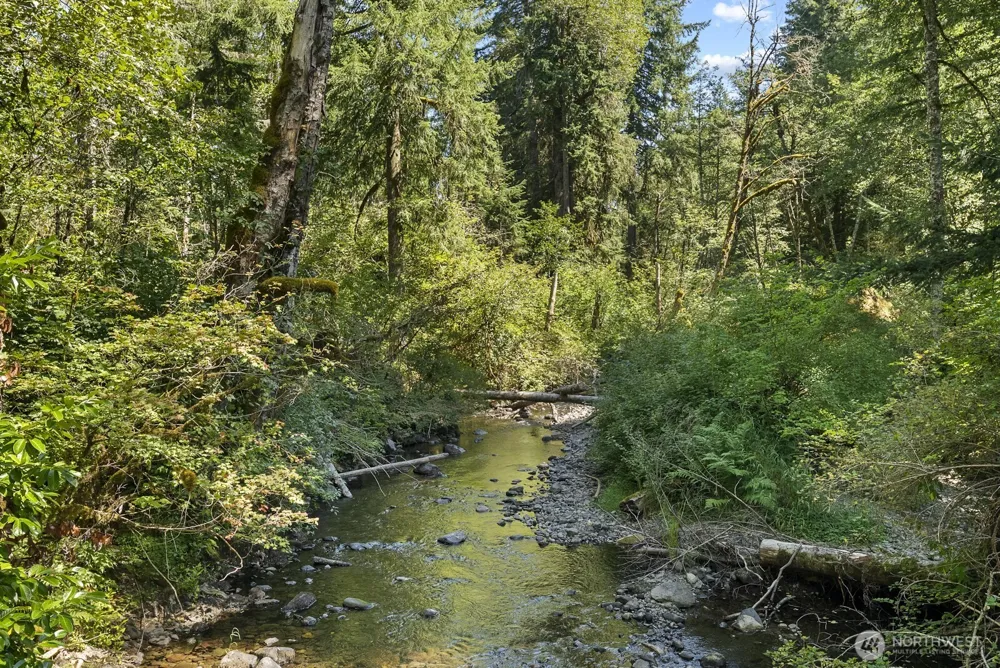 320 Skate Creek Road Eatonville, WA 98304