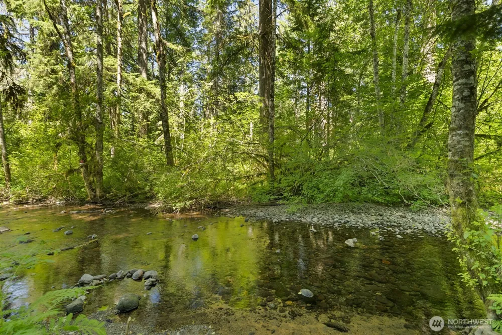320 Skate Creek Road Eatonville, WA 98304