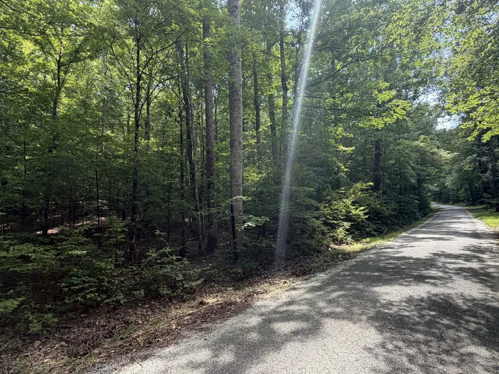 0 Deer Creek Rd Linden, TN 37096