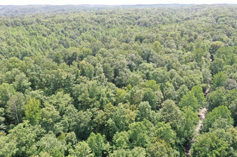 0 Deer Creek Rd Linden, TN 37096