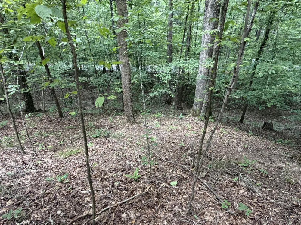 0 Deer Creek Rd Linden, TN 37096