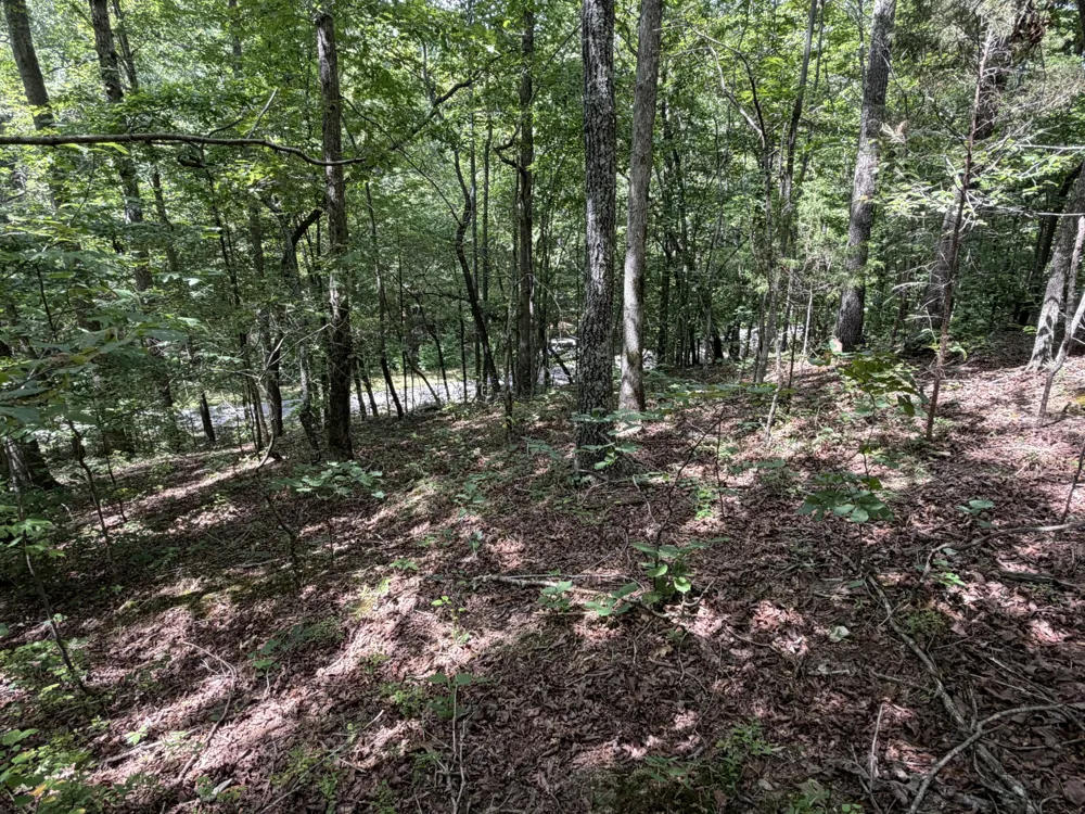 0 Deer Creek Rd Linden, TN 37096