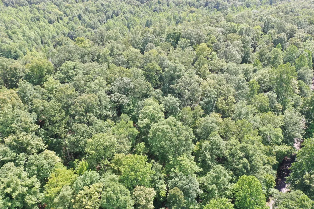 0 Deer Creek Rd Linden, TN 37096