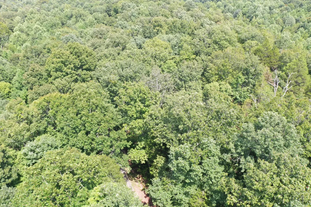 0 Deer Creek Rd Linden, TN 37096