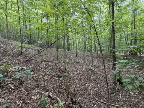 0 Deer Creek Rd