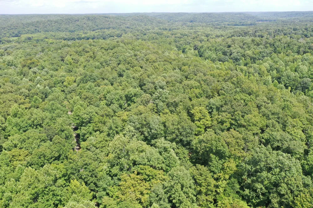 0 Deer Creek Rd Linden, TN 37096